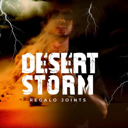 REGALO Joints - Desert Storm EP