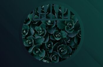 Themetique – Don’t Look Back