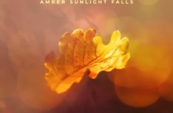 A.M.R & Cornelius SA – Amber Sunlight Falls A.M.R & Cornelius SA – Amber Sunlight Falls