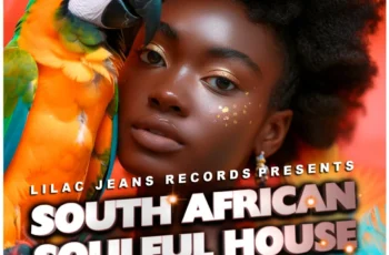 VA – South African Soulful House Vol. 8