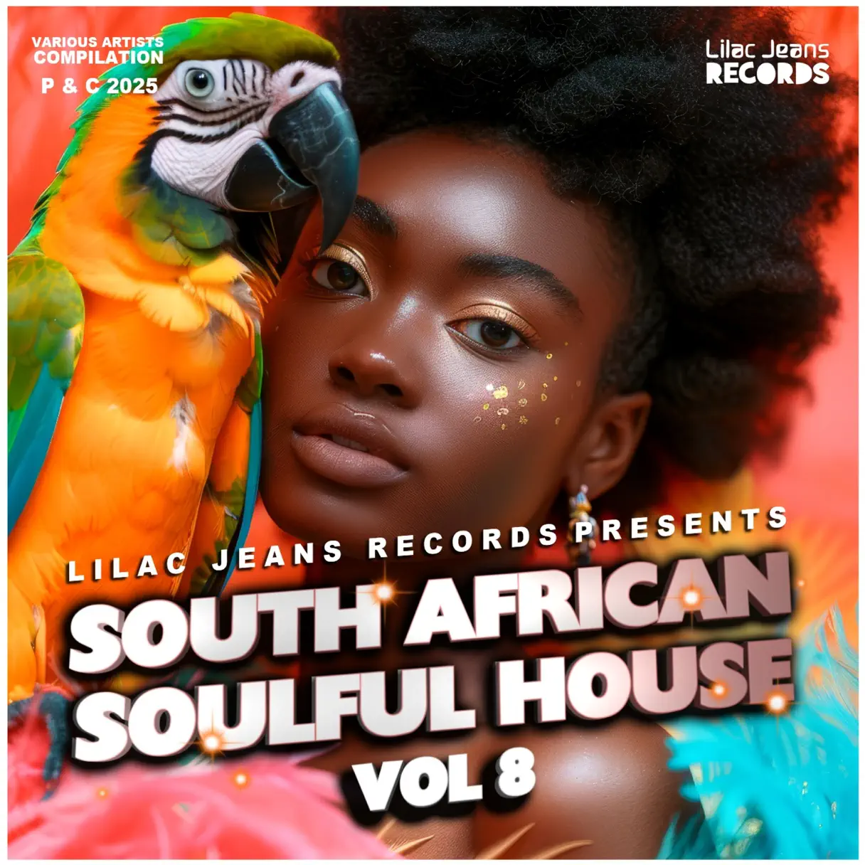 Unknown Artist - South African Soulful House Vol. 8