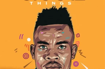 Audiology – Groove Things (Album)