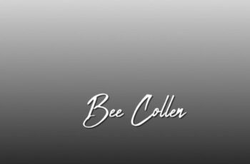 Bee Collen – Pasop (Original Mix)