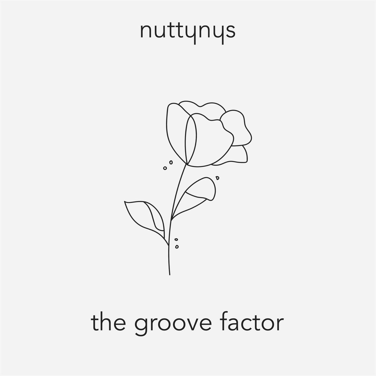 Nutty Nys - The Groove Factor