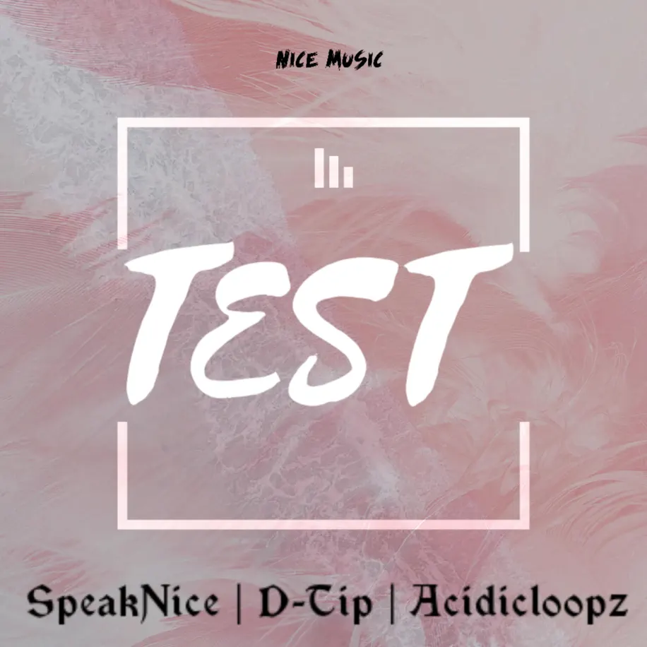  SpeakNice, D-tip & Acidicloopz - Test