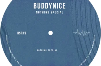 Buddynice – Nothing Special