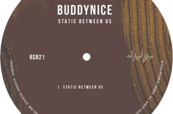 Buddynice – Static Between Us