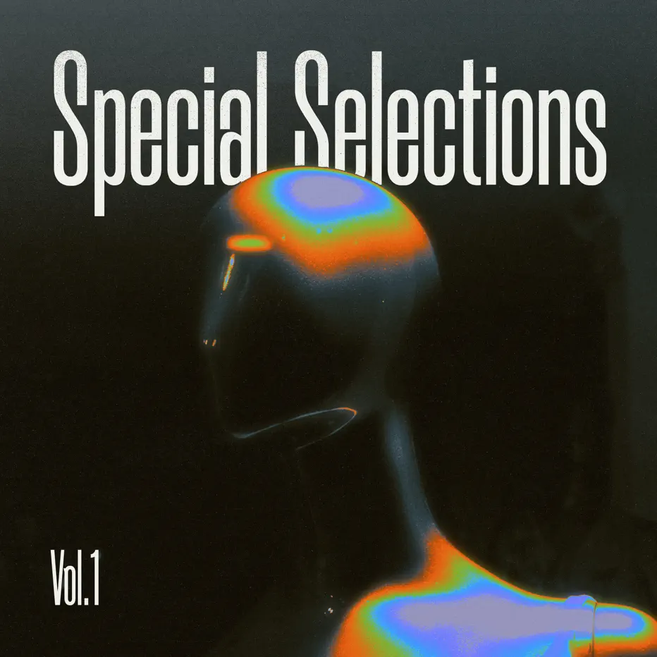 Various Artists - Special Selections, Vol. 1