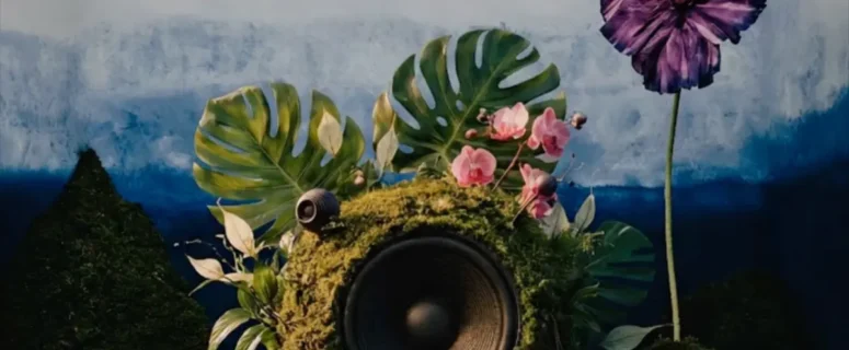 Zakes Bantwini & Skye Wanda – Echoes Of Botanical Gardens (Album)