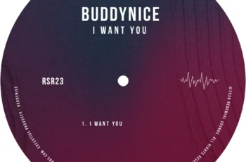 Buddynice – I Want You