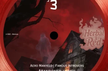 Aero Manyelo & Famous Introverts – Abandoned homes