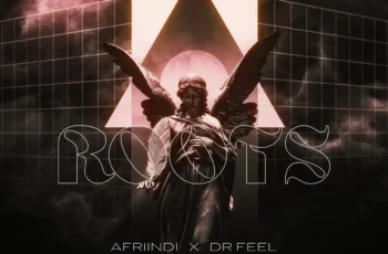Afriindi & Dr. Feel – Roots