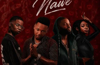 Catzico & DJ Veek – Nawe (feat. Skales & Natasha MD)