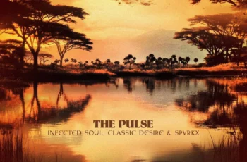 Infected Soul, Classic Desire & Spvrkx – The Pulse