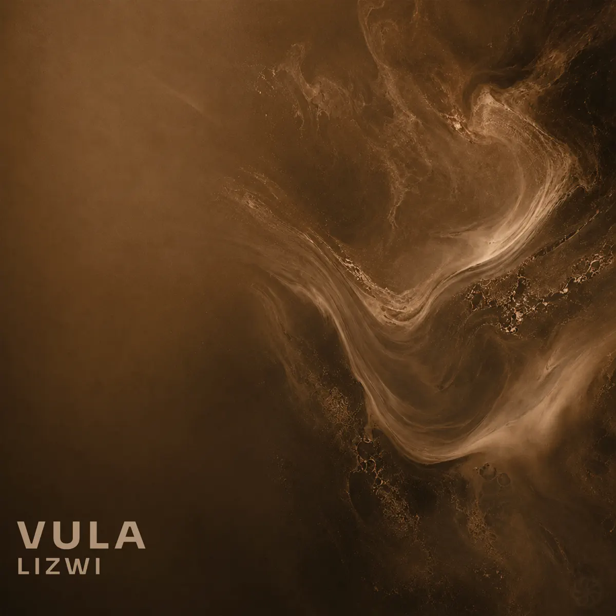  Lizwi - Vula
