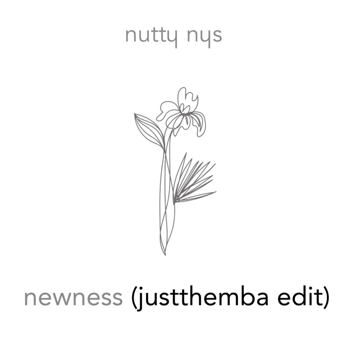 Nutty Nys - Newness (JustThemba Edit) Nutty Nys - Newness (JustThemba Edit)