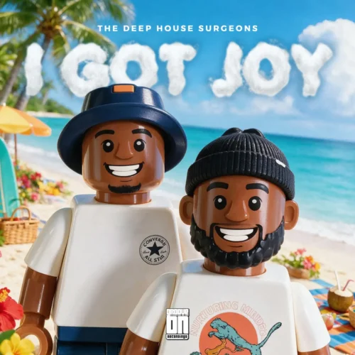 The Deep House Surgeons - I GOT JOY (Album)