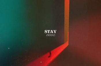ZIDDO – Stay