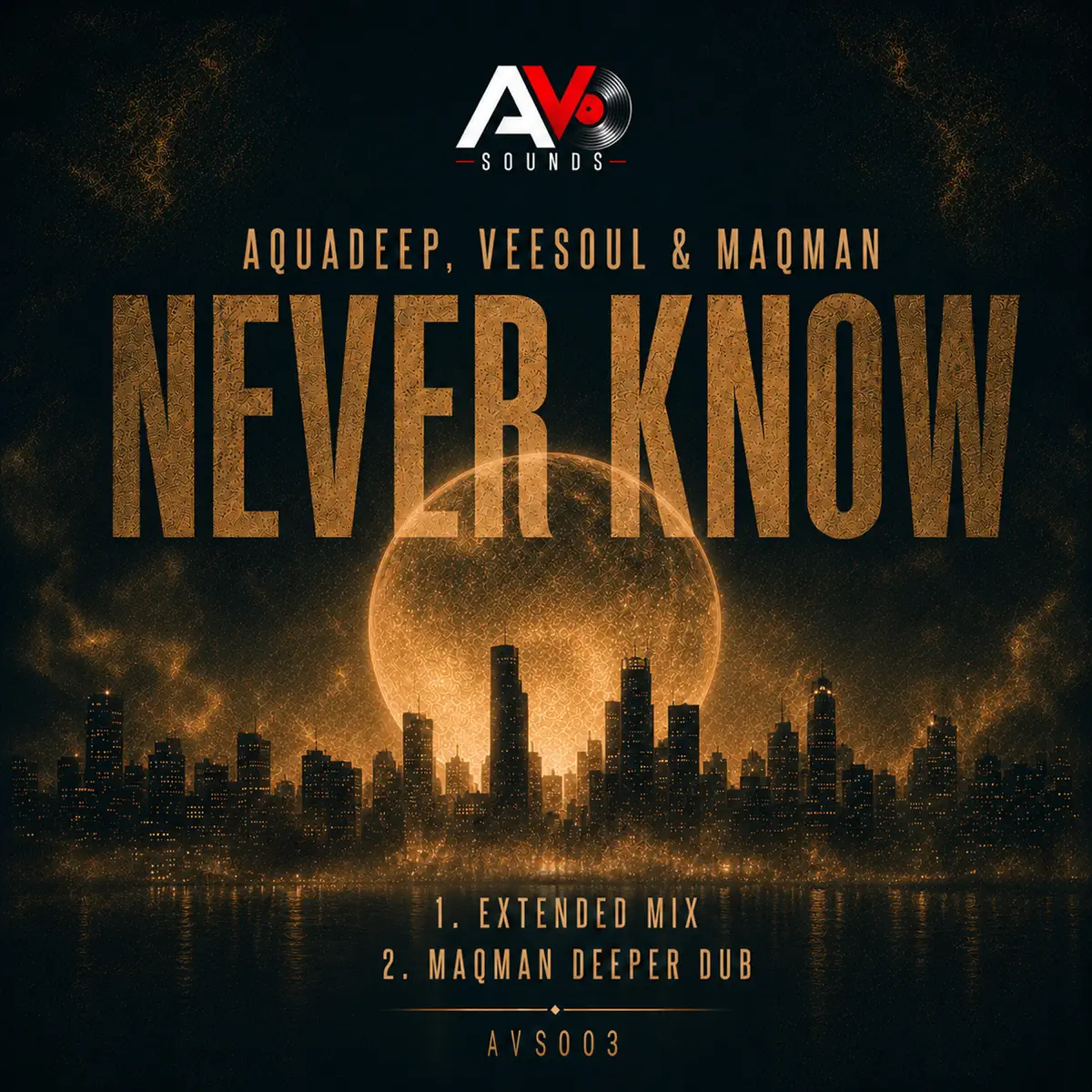  Aquadeep, Veesoul & MAQman - Never Know (EP)
