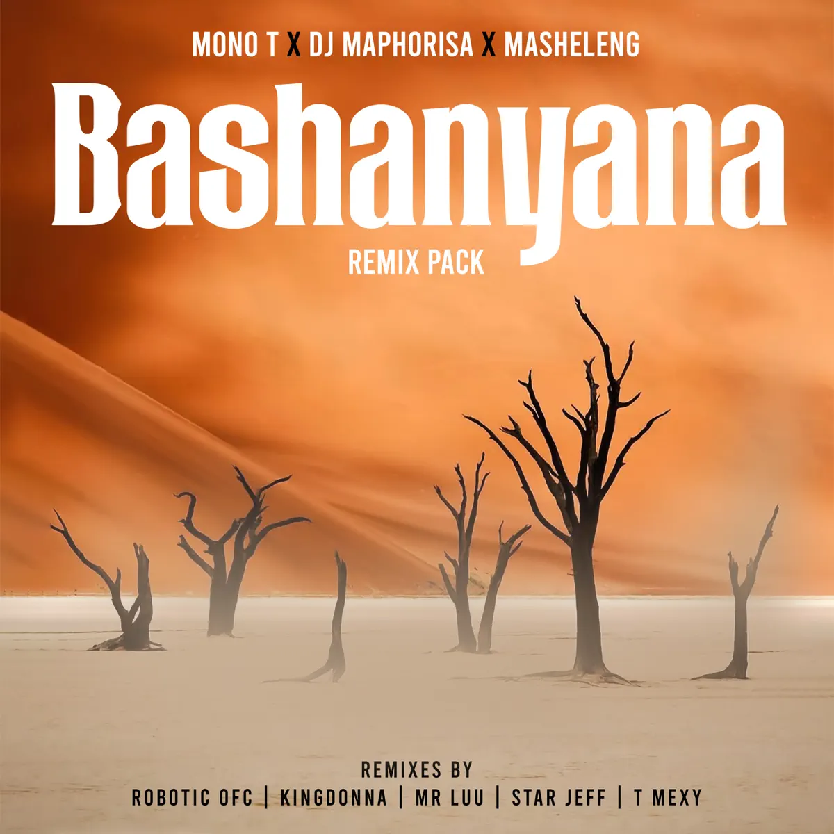 Mono T, DJ Maphorisa & Masheleng - Bashanyana (Remix Pack) Mono T, DJ Maphorisa & Masheleng - Bashanyana (Remix Pack)